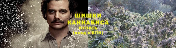дживик Яровое