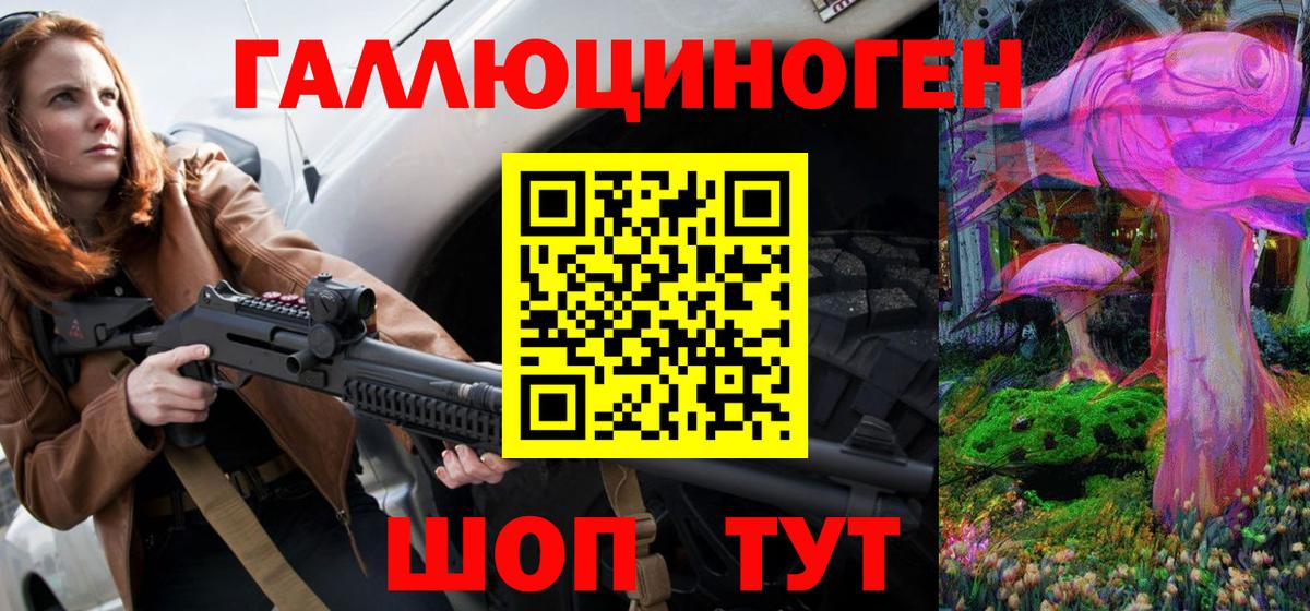 закладки  Грозный  Галлюциногенные грибы прущие грибы 