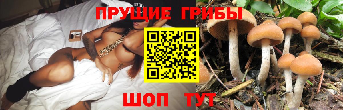Галлюциногенные грибы MAGIC MUSHROOMS Грозный