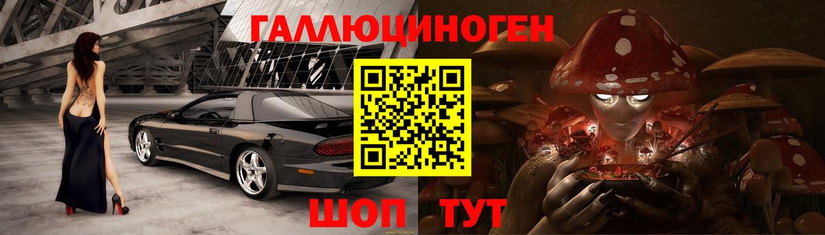 Псилоцибиновые грибы Psilocybe  Вход с VPN  Грозный 