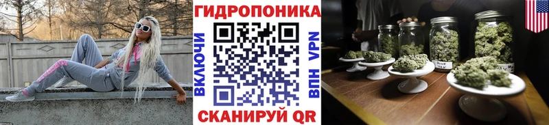 Бошки Шишки ГИДРОПОН  Грозный 