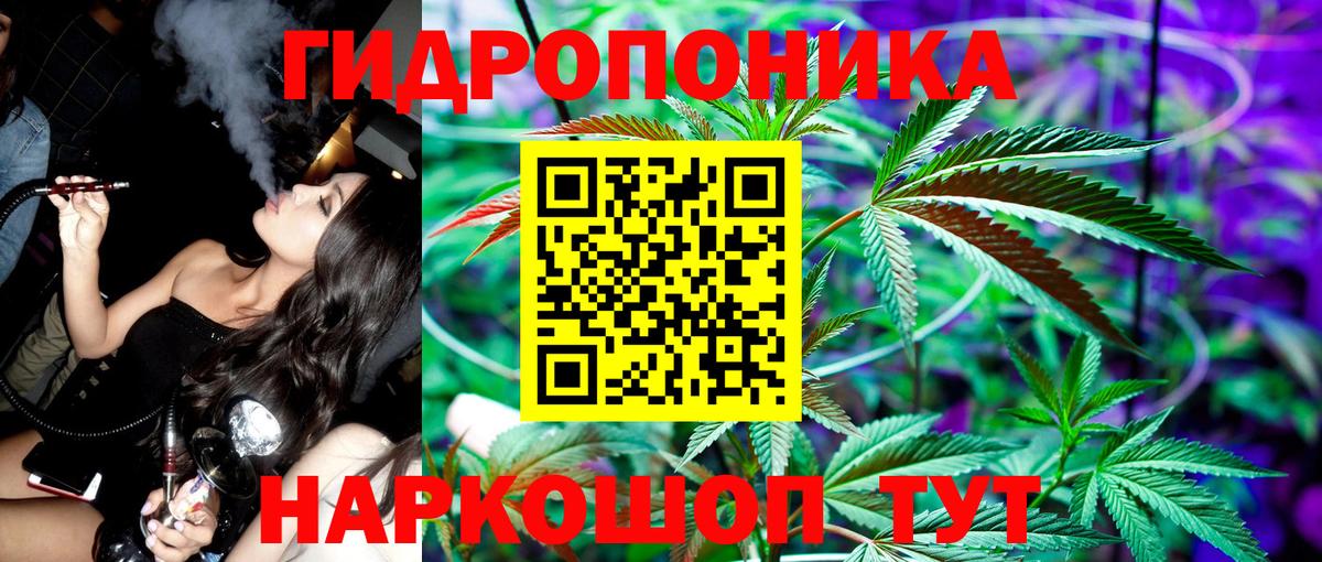 Канабис White Widow  Грозный  МАРИХУАНА AK-47  Марихуана сатива  МАРИХУАНА индика 